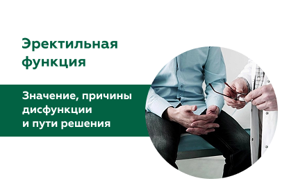 Эректильная функция: что это такое, почему нарушается и как восстановить